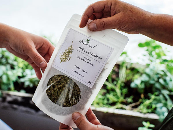 Plantes médicinales